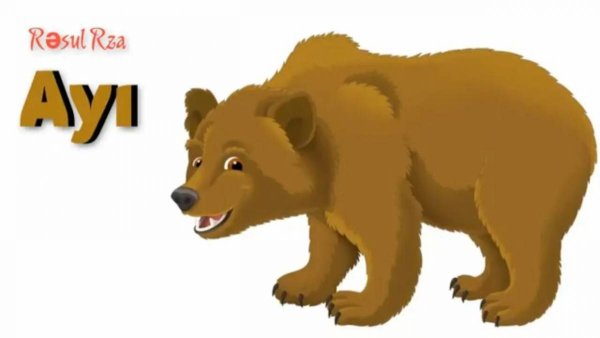 Медведь для детей на прозрачном фоне