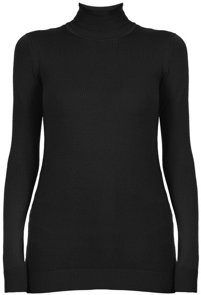 Водолазка черного цвета женская