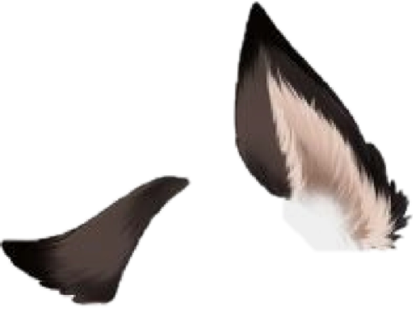 Кошачьи уши гача