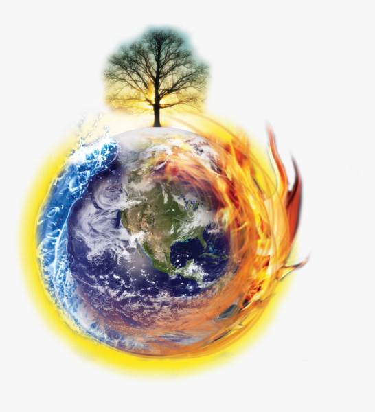 Экология земли