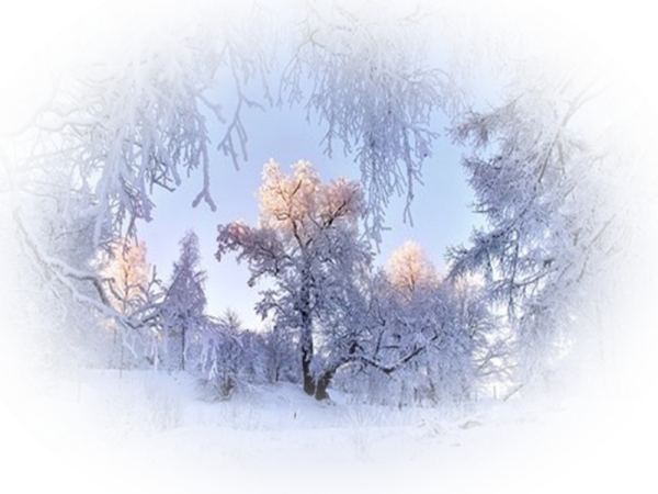 Зима на прозрачном фоне