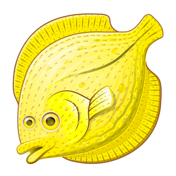 Камбала мультяшная