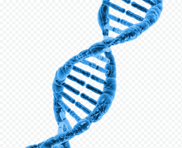 ДНК на белом фоне