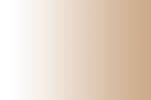 Пленка Адилет Макиотти sg234 металлик