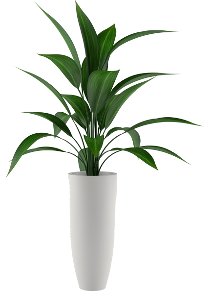 Цветок в горшке