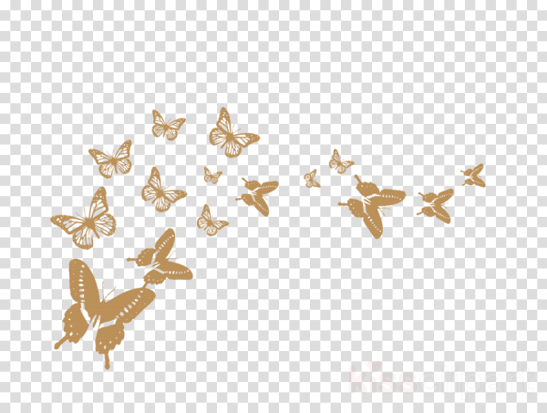Золотые бабочки на белом фоне