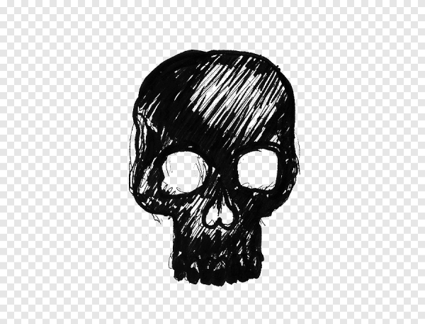 Череп векторное изображение