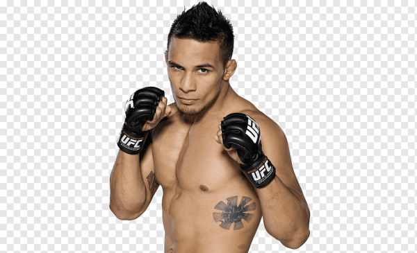TUF UFC