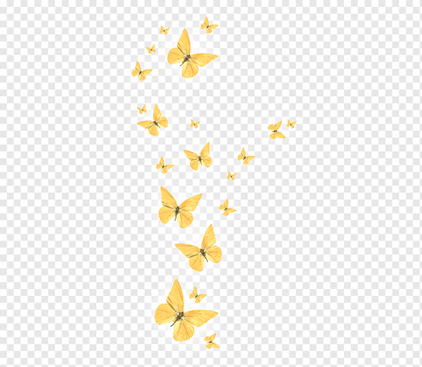 Бабочки на прозрачном фоне для фотошопа