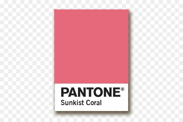 Pantone надпись