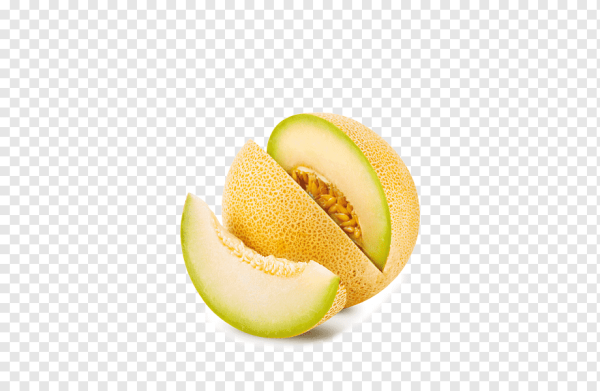 Ломтик дыни