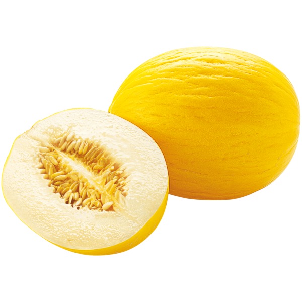 Дыня Honeydew