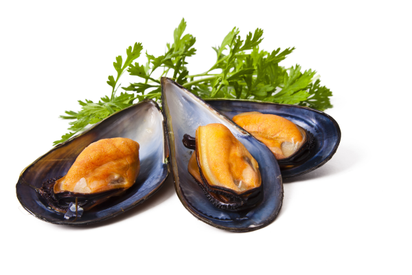Pescatore мидии