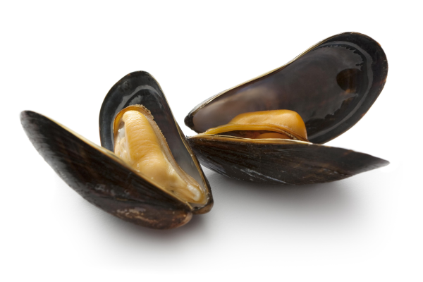 Premium Mussels мидии