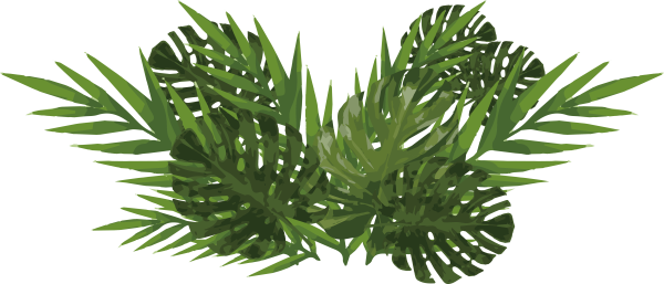 Monstera Leaf