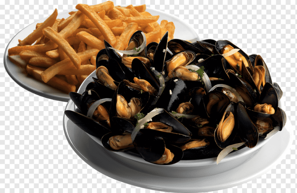 Мидии на прозрачном фоне