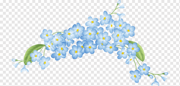 Цветочки на прозрачном фоне