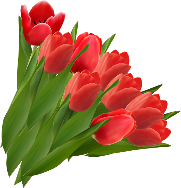 Тюльпан Red Bouquet
