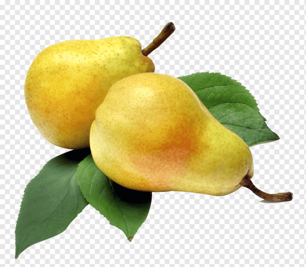 Алмурут груша