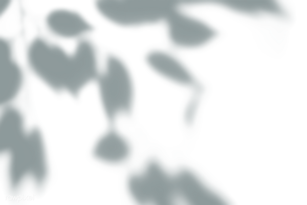 Фон с тенью окна