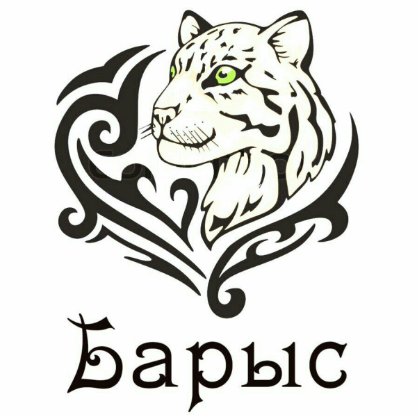 Логотип Барыса