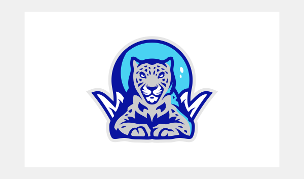 Снежный Барс логотип