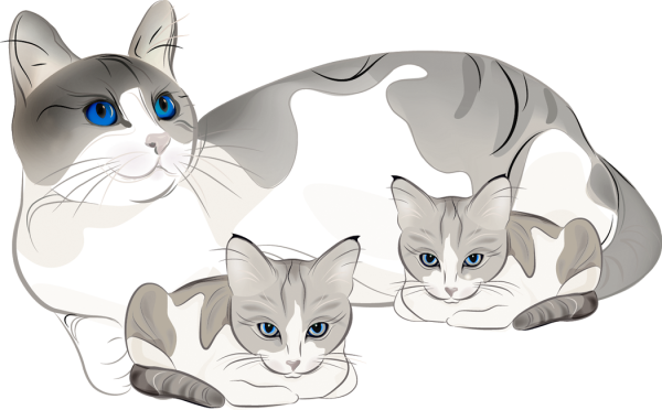 Кошка с котятами на прозрачном фоне