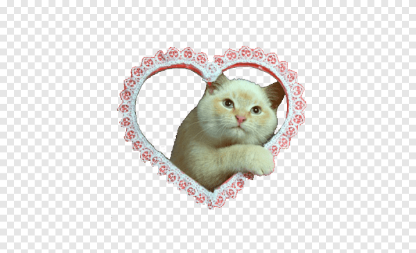 Кот с сердечками