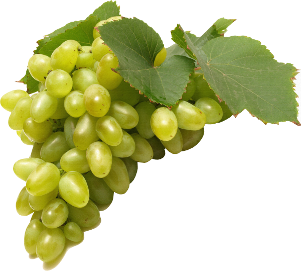Seedless grapes виноград