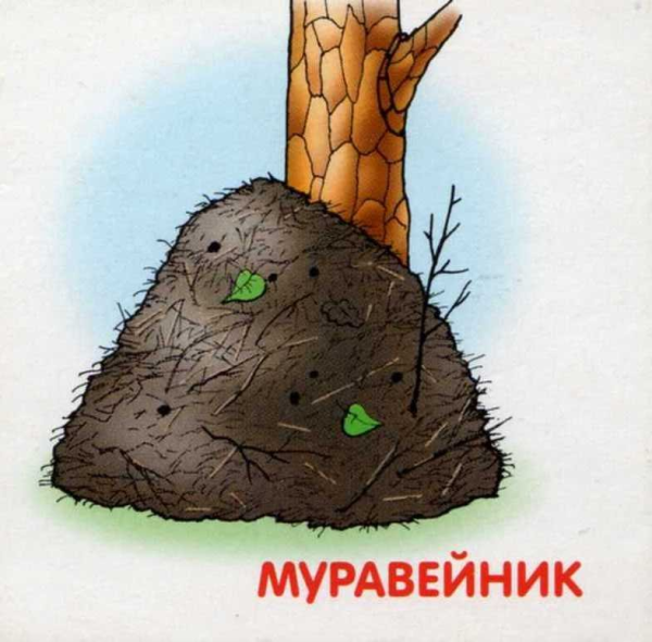 Муравейник картинка для детей
