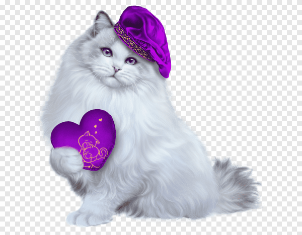 Кошка на прозрачном фоне