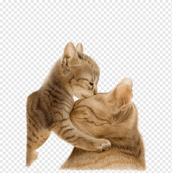 Кошка с котятами на белом фоне