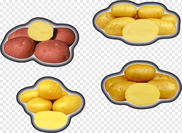 Блюдо картофель PNG