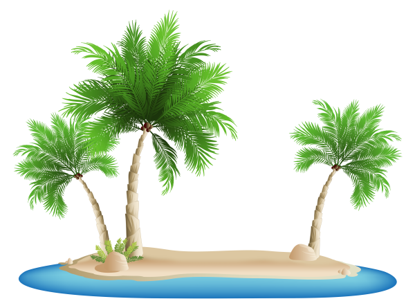 Пальма без фона