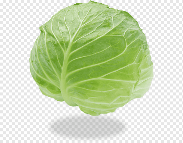 Капустный лист
