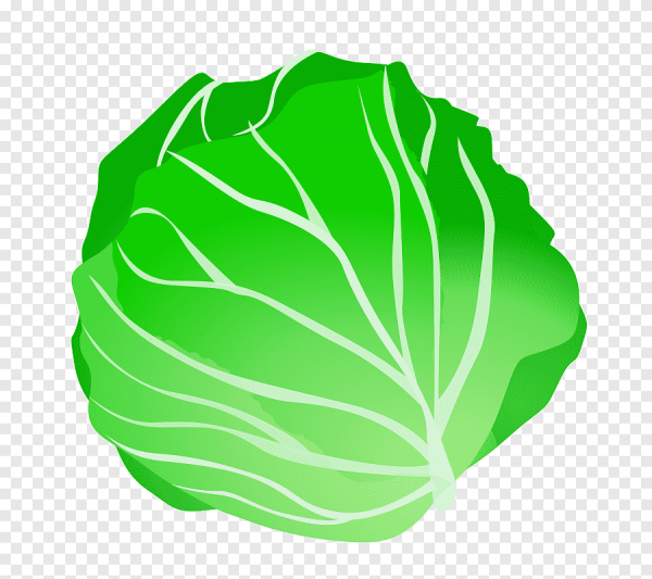 Капустный лист