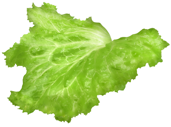 Листья салата
