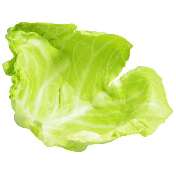 Капустный лист на голову