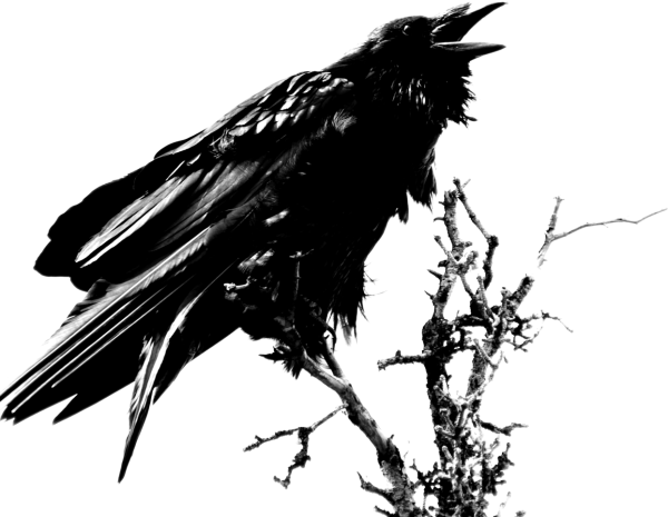 Ворон Эдгар Аллан по Nevermore