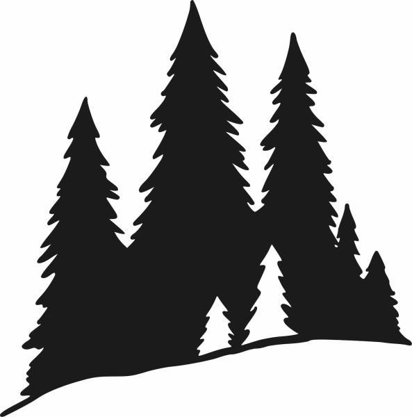 Очертания леса