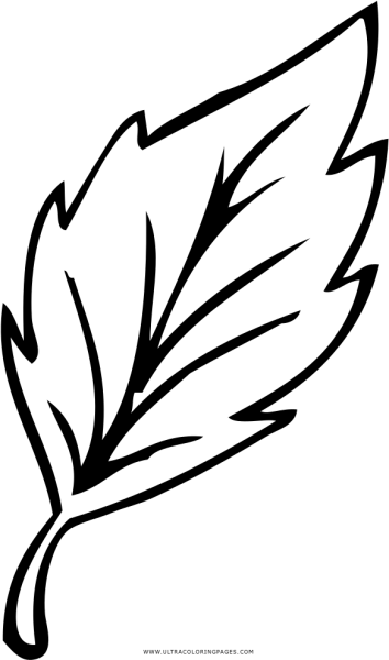 Листья рисунок
