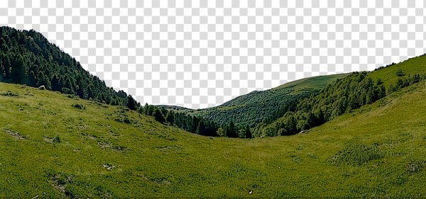 Лесная Долина Ульяновск