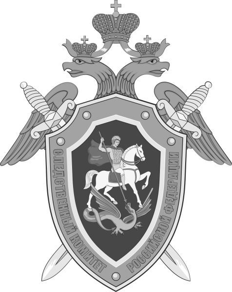 Следственный комитет РФ значок