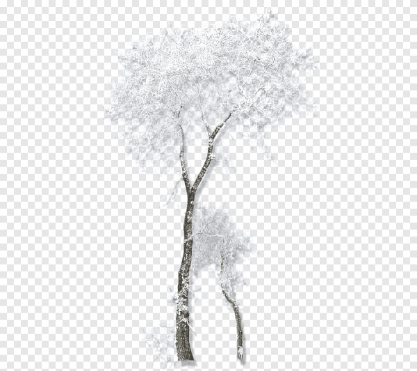 Зимние деревья для фотошопа