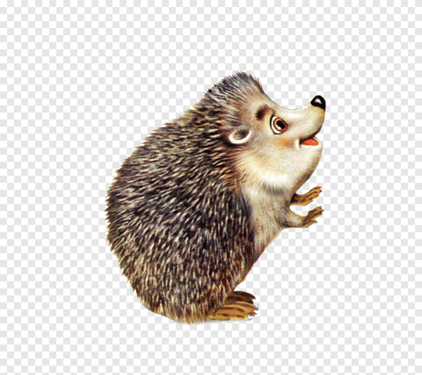 Еж мультяшный