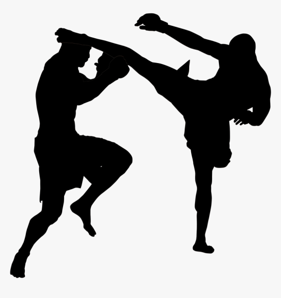 Кикбоксинг силуэт