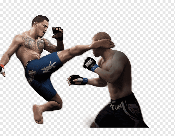Бойцы UFC PNG